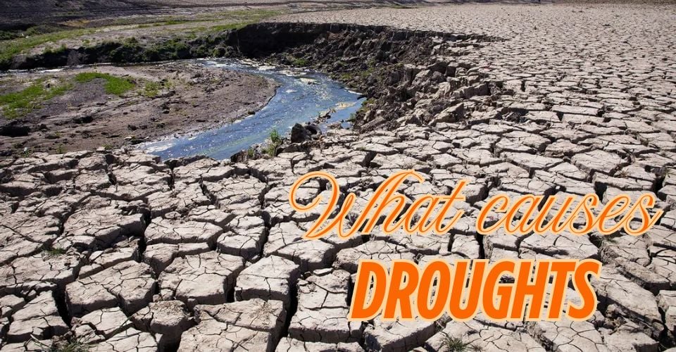 What causes droughts? A deep dive into causes, impacts, and solutions