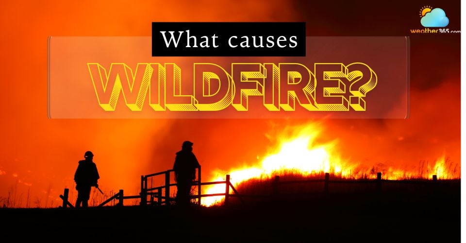 What Causes Wildfires? Exploring Natural Causes and Human Negligence