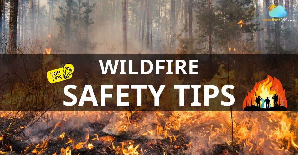 Wildfire safety tips: What to do BEFORE - DURING - AFTER a wildfire