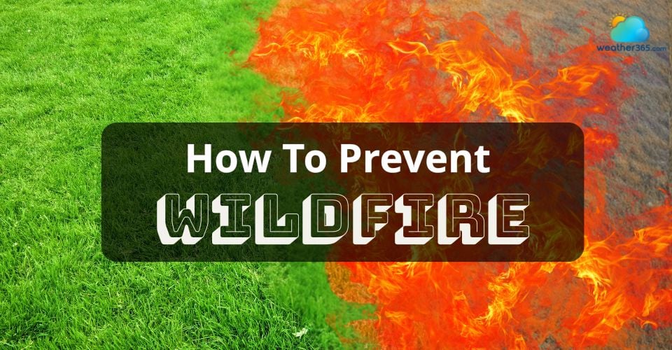 How to Prevent Wildfire in High-Risk Areas: Essential Tips to Stay Safe