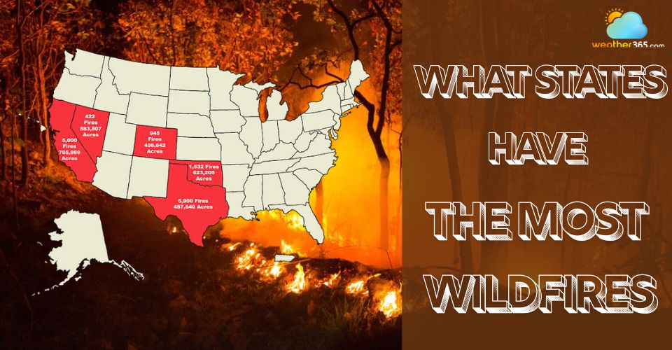 What States Have The Most Wildfires? Surprising Facts And Statistics