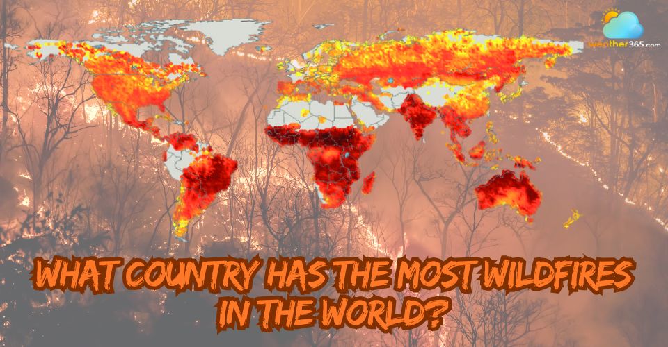 What Country Has The Most Wildfires? Top 5 Global Hotspots And Reasons