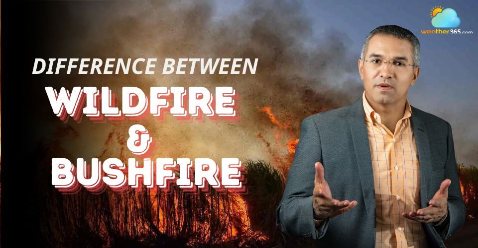 Difference Between Wildfire and Bushfire: A Comprehensive Guide