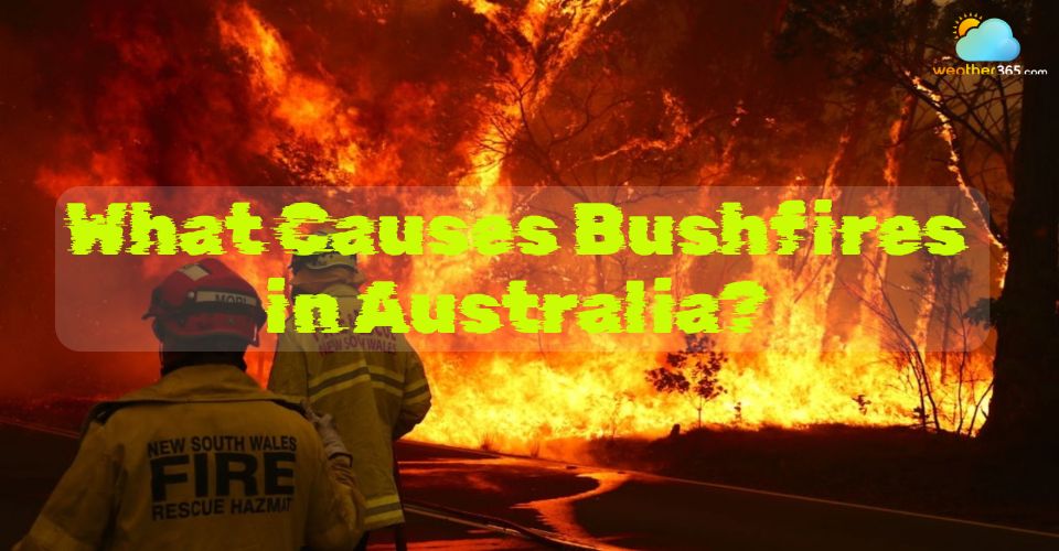 What causes bushfires in Australia? Understanding key reasons