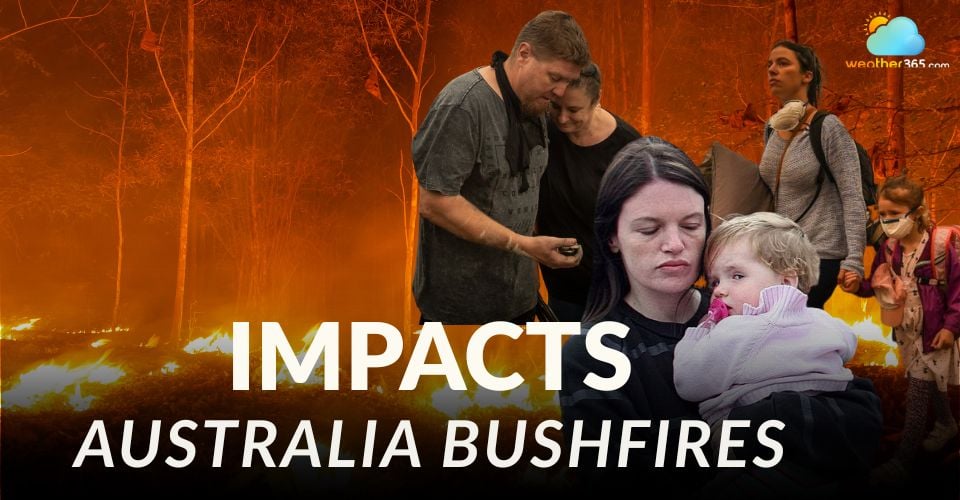 Devastating Impact of Australian Bushfires: Environment, Health & More