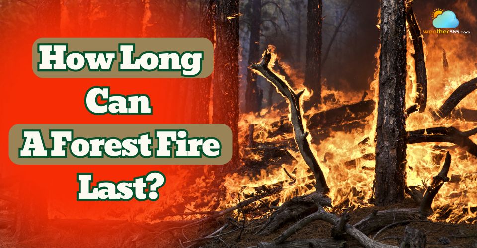 How Long Can a Forest Fire Last? Typical Duration and Influencing Factors