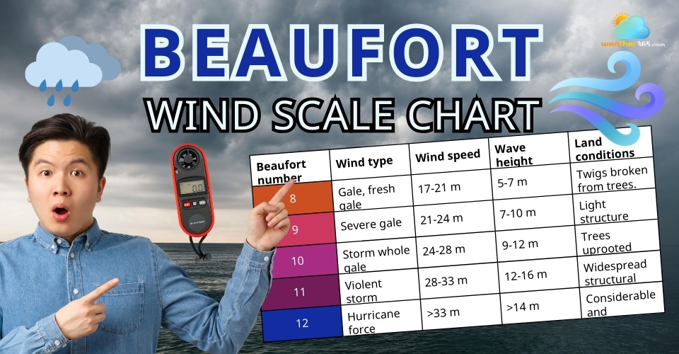 Beaufort Wind Scale Chart: Discover Wind Speed Levels and How To Read Them
