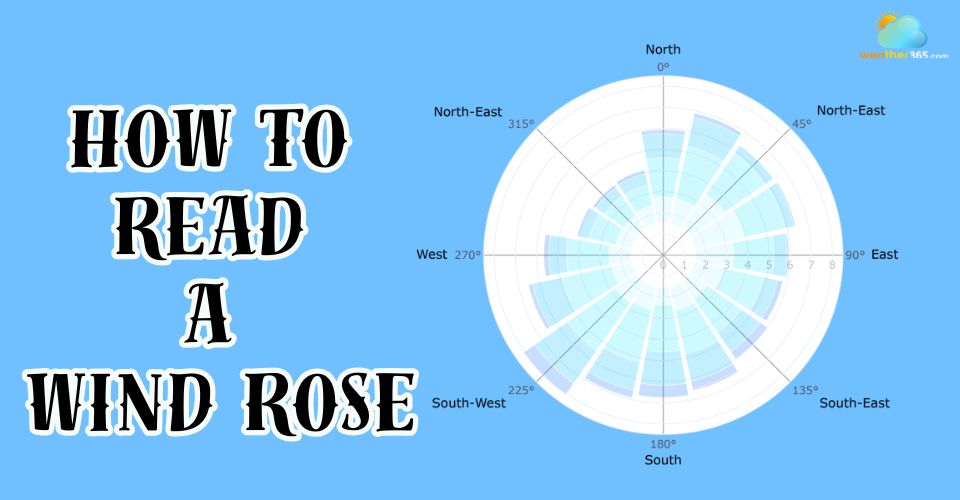 How To Read A Wind Rose? Step-by-Step Guide To Interpreting Wind Data