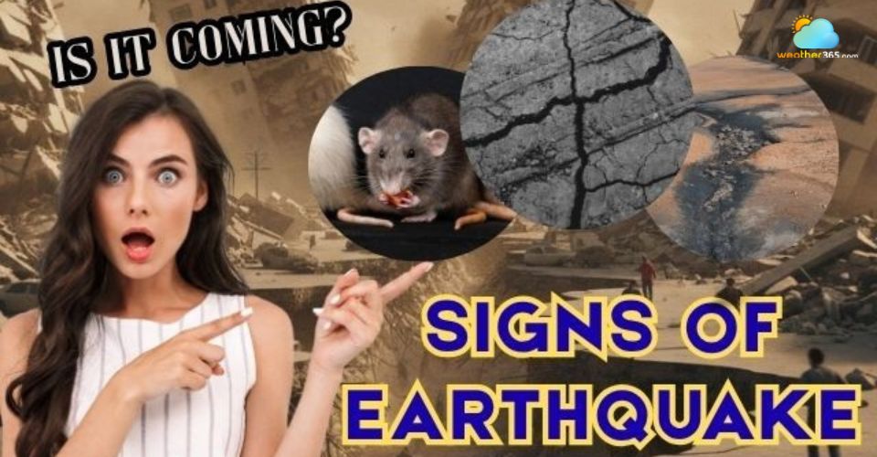 Signs of Earthquake: How To Tell If Earthquakes Are Coming?