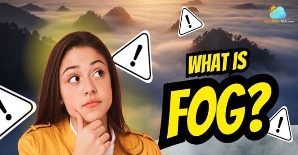 What Is Fog? Understand Its Formation, Causes, and Impacts