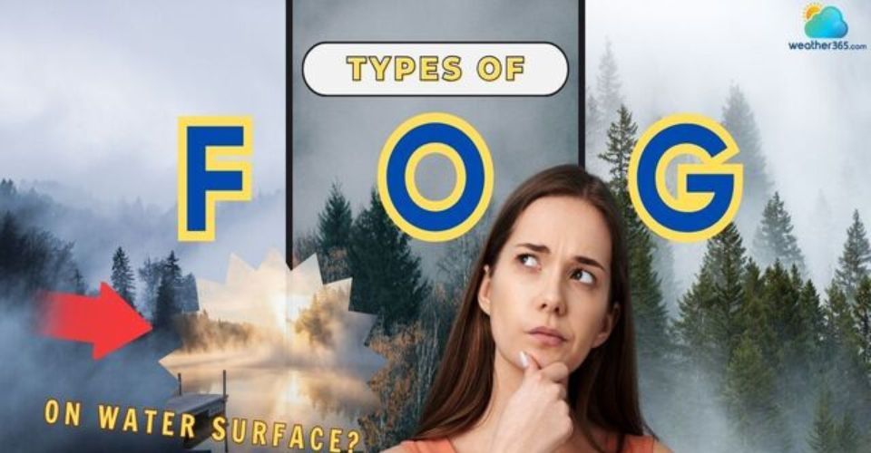 7 Common Types of Fog and What Makes Each One Unique