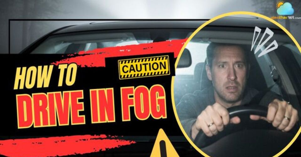 How to Drive in Fog: A Complete Guide to Handling Reduced Visibility