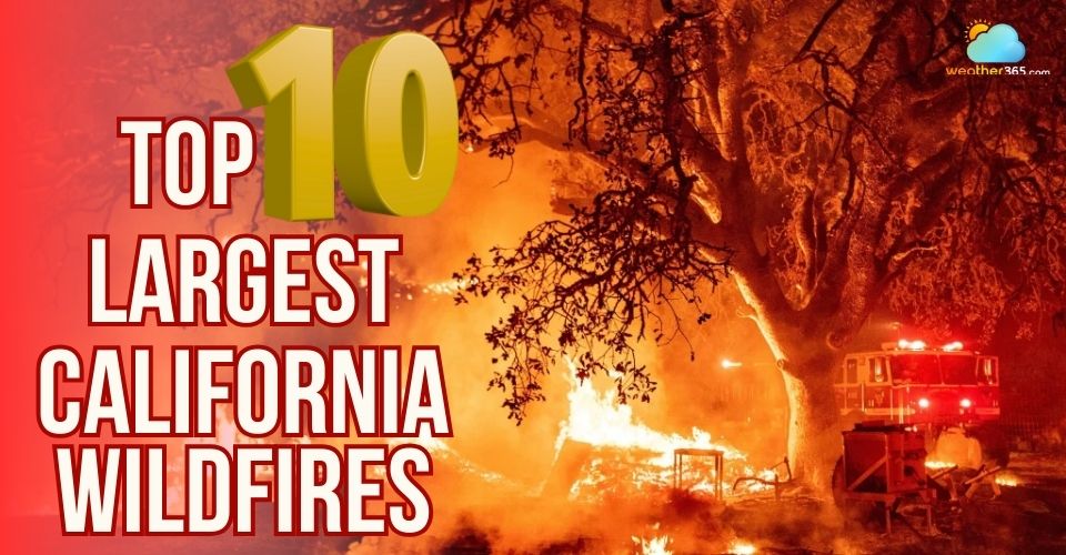 Top 10 Largest California Wildfires: Causes, Damage, and Recovery Efforts