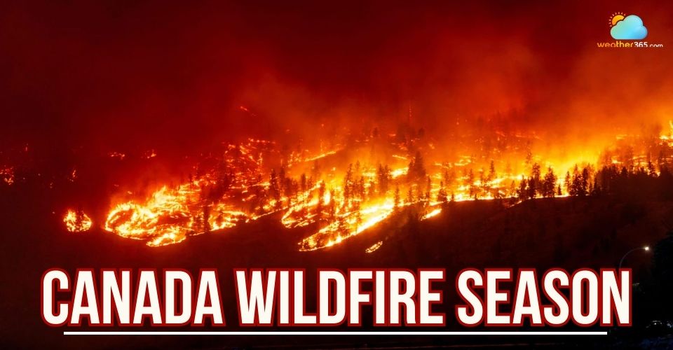 Canada Wildfire Season: Is climate change making it worse? Preventative tips