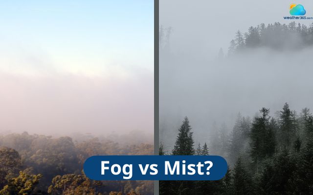  Are fog and mist the same?