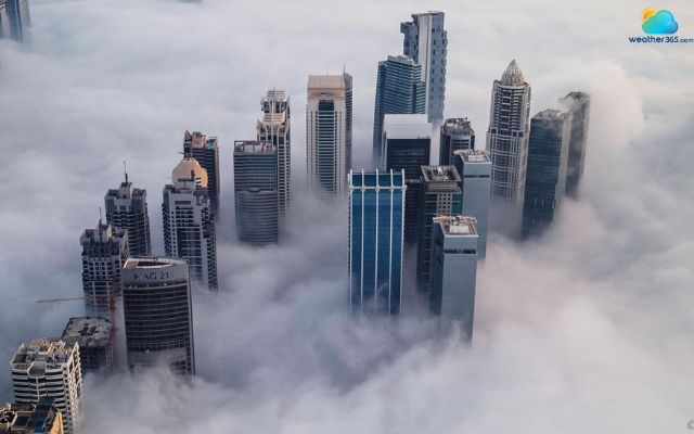  Fog is a cloud that forms at ground level