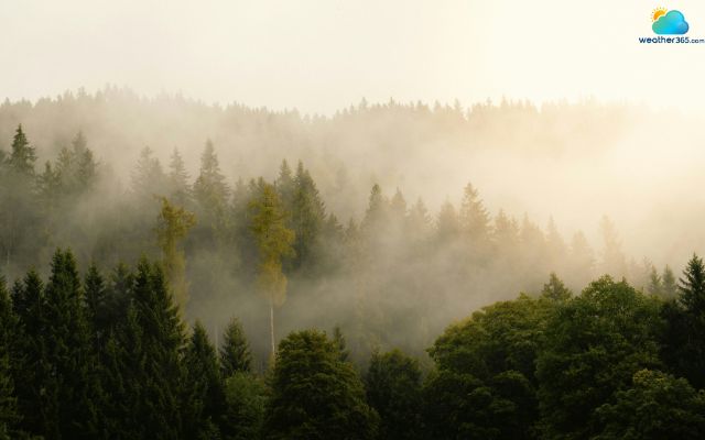  Accurate fog forecast is difficult