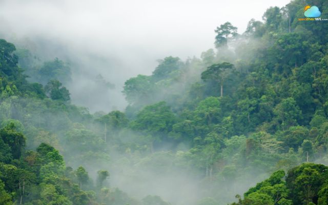 Mountain slopes and valley are usually prone to fog