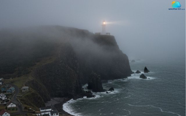 Advection fog forms when warm, moist air moves over a cooler surface