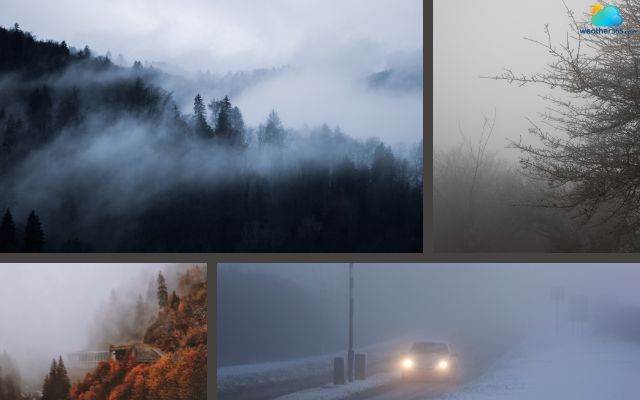  There are many different types of fog