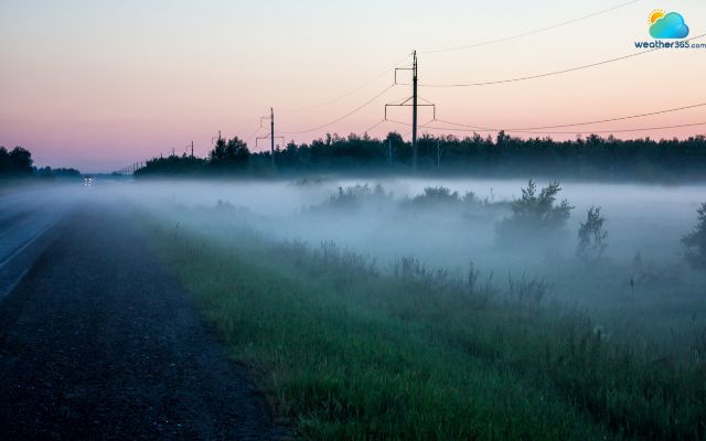  Fog forms at very low altitudes