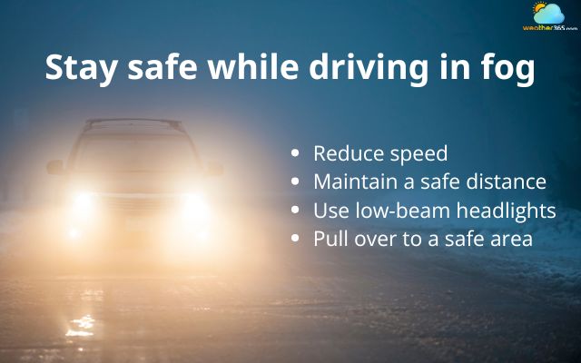  Stay safe while driving in fog