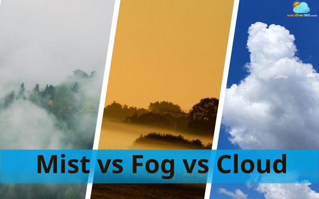  Difference among mist, fog, and cloud