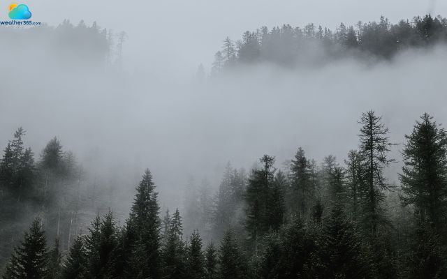  Fog is a cloud at ground level