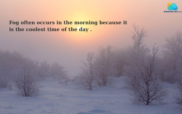  Fog often occurs in the morning