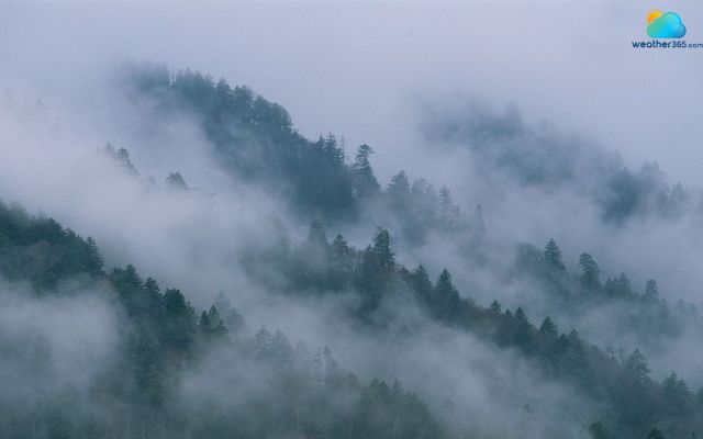  Fog in the Appalachian Mountains