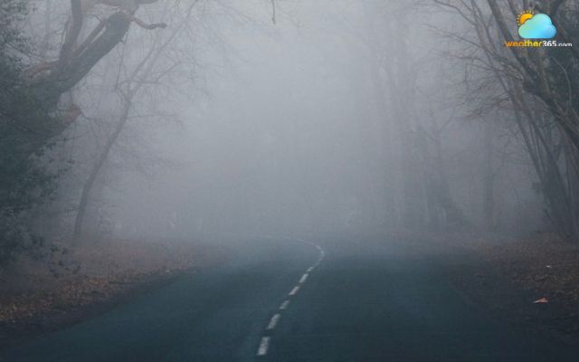 A foggy path in Raleigh