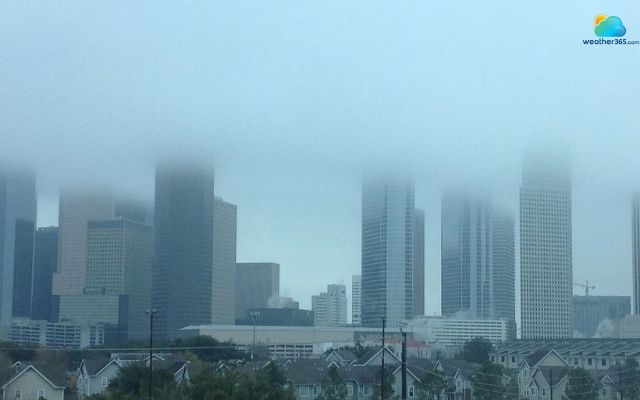 Fog in Houston