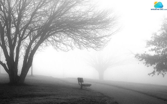 Thick fog in Indianapolis, Indiana