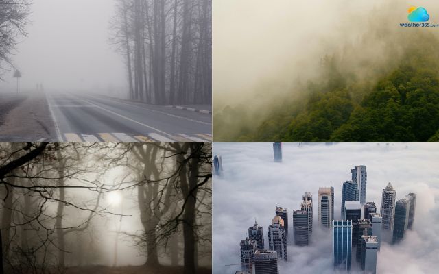 Fog mostly occurs in places with high humidity and temperature differences