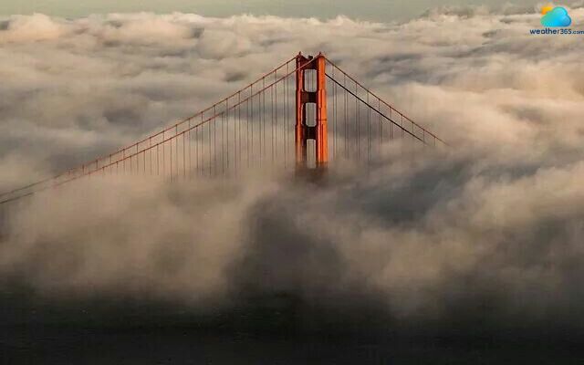 The “Karl the Fog” experiences around 100-150 foggy days annually