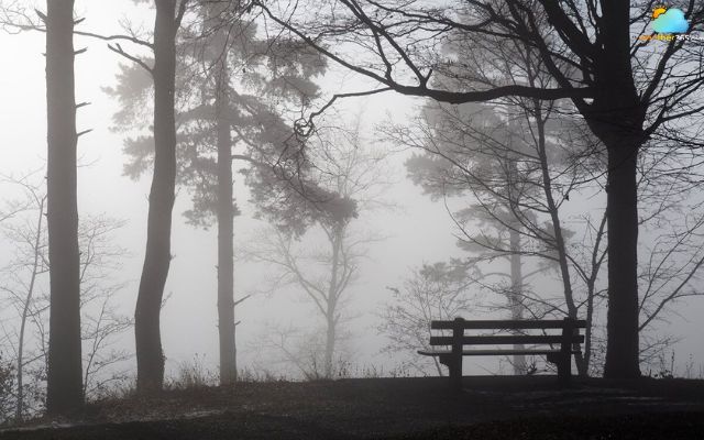  The Swiss Plateau is often covered in fog