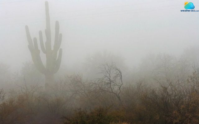 The Namib Desert witnesses around 100-200 days in fog annually