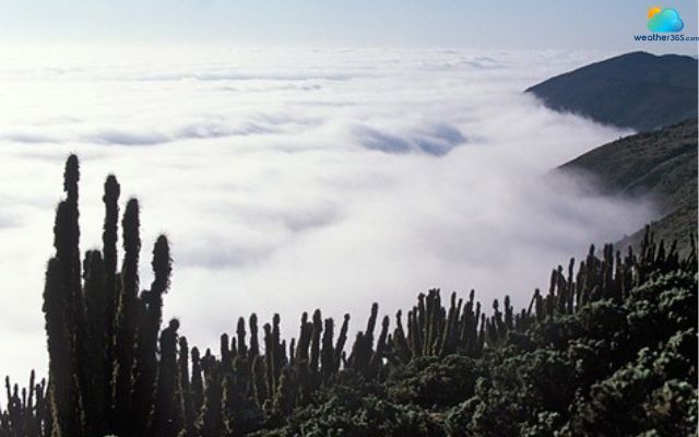 The Atacama Coast experiences frequent coastal fog
