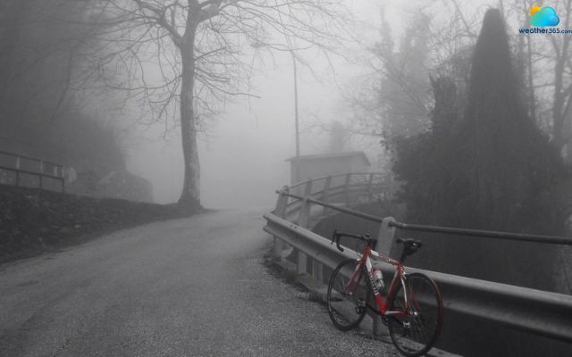 Fog comes suddenly at dawn in the Po Valley, Italy
