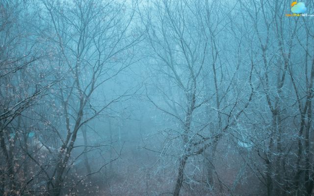 Freezing fog often appears on winter morning