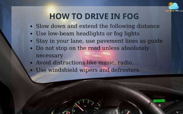  How to stay safe while driving in fog?