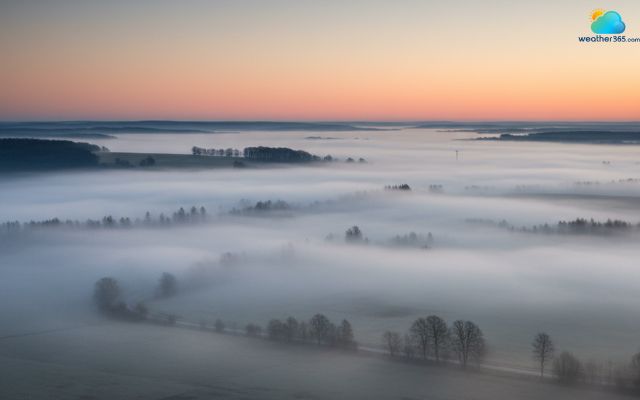 The temperature in freezing fog is below freezing 0 °C
