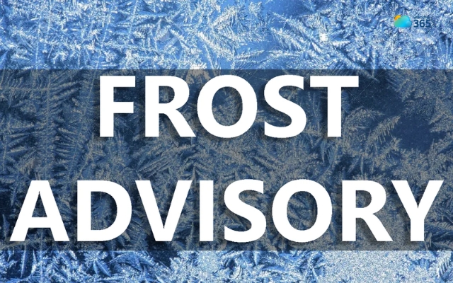  Frost can damage crops and plants