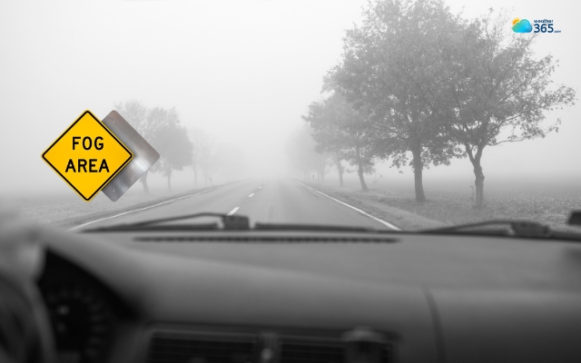  Fog can reduce driving visibility