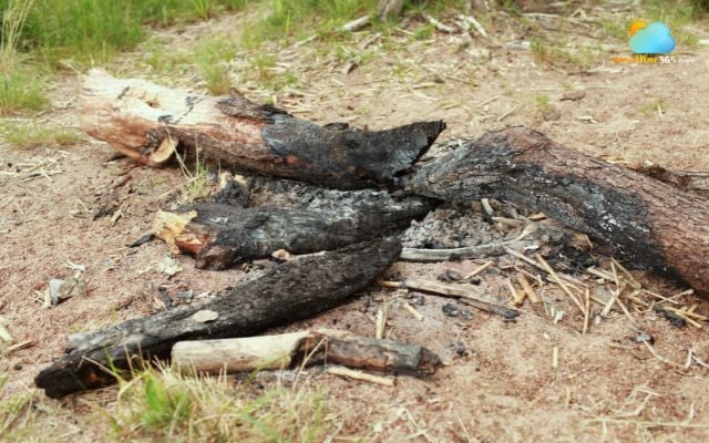 Before you leave, totally extinguish your campfire