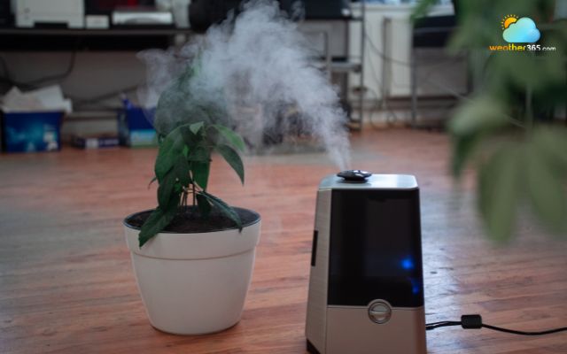 Use an air purifier when you are in a room