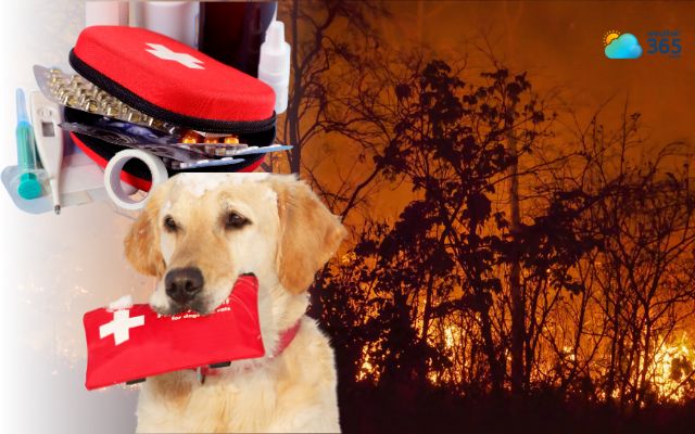  Prepare an emergency kit