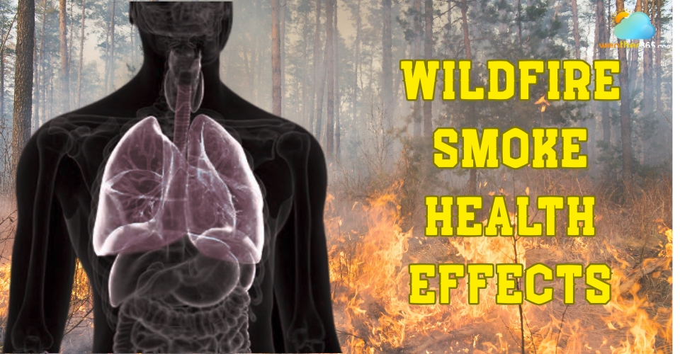  Wildfire smoke affects health
