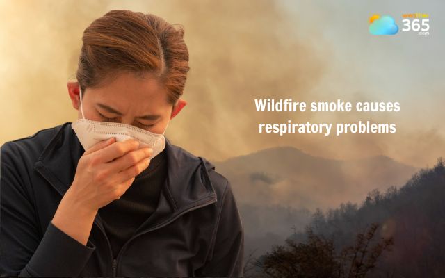 Wildfire smoke can lead to respiratory problems