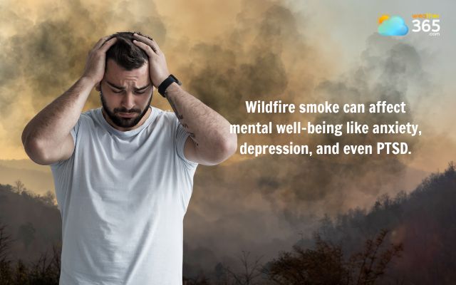 Wildfire smoke can lead to anxiety, depression, and even PTSD